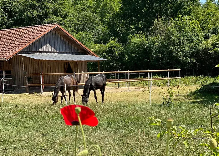 Wunderschoene Zwischen Bremen Und Hamburg Apartament *